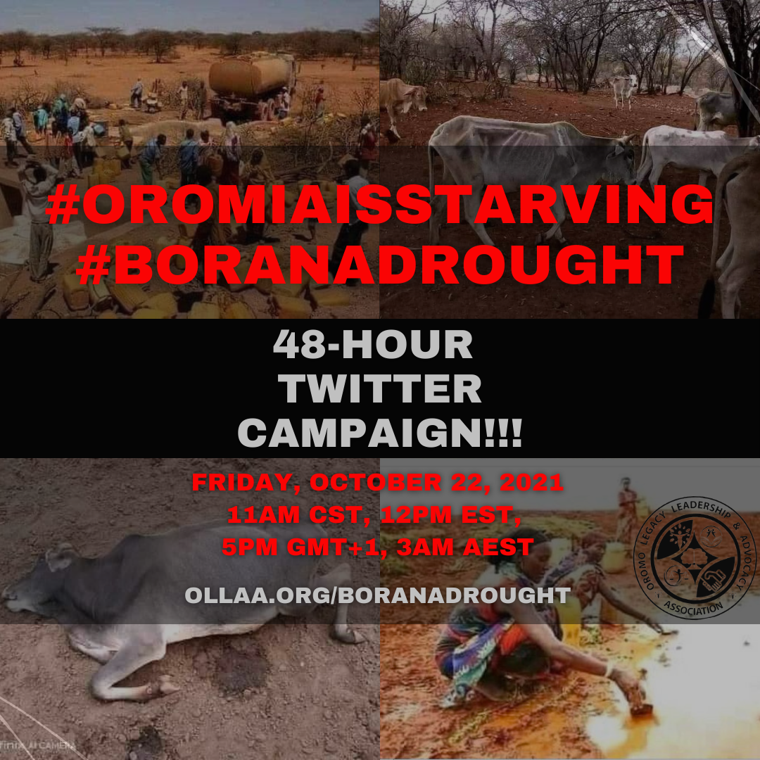 Boranadrought Oromo Legacy Leadership And Advocacy Association